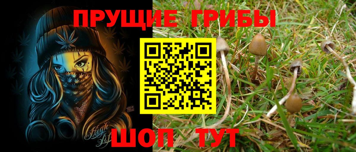 Галлюциногенные грибы GOLDEN TEACHER Дербент