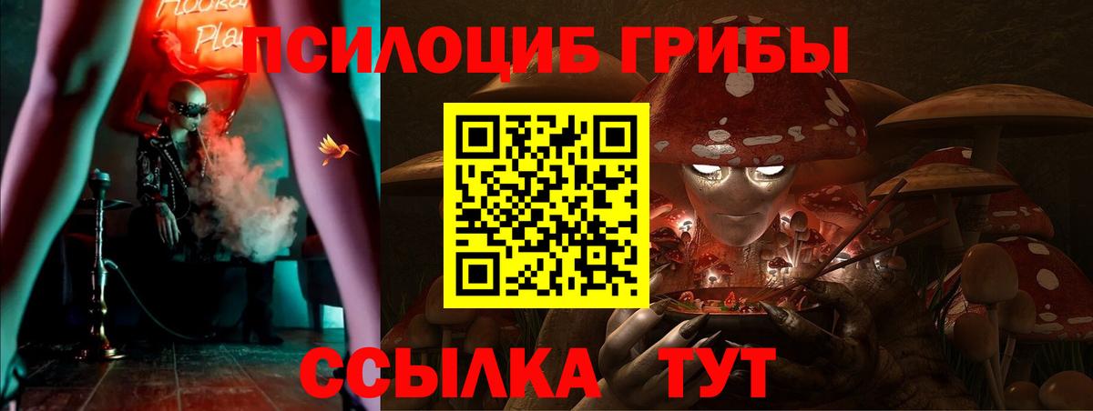 где можно купить   Псилоцибиновые грибы Psilocybine cubensis  Галлюциногенные грибы Cubensis  Вход с VPN  Дербент 